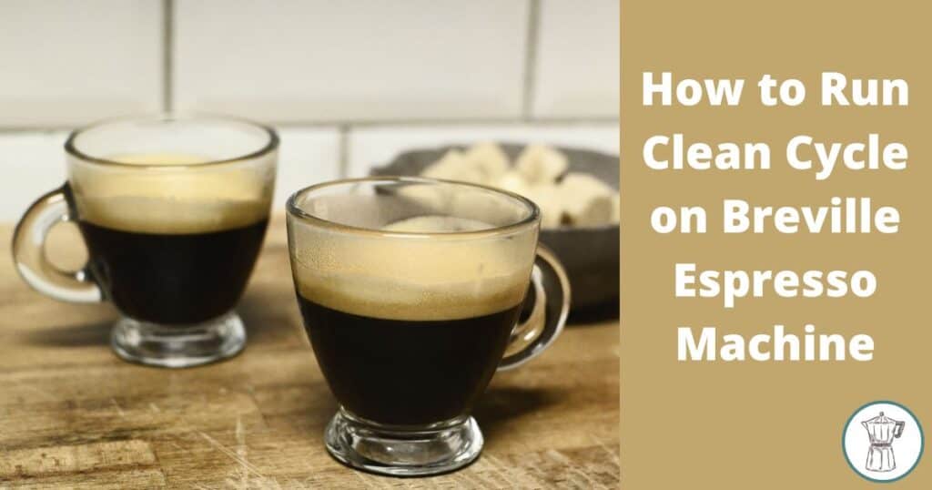 how-to-run-clean-cycle-on-breville-espresso-machine