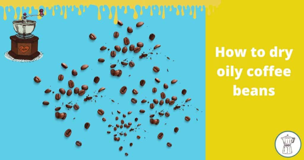 how-to-dry-oily-coffee-beans